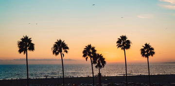 Nouvelle collection element