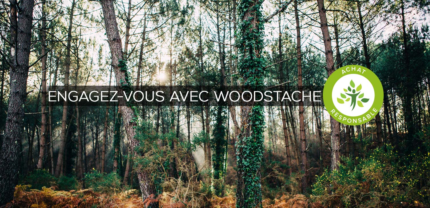 Plantez un arbre Plantez un arbre